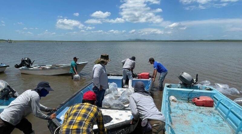 Avanza Gobierno del Estado en apoyos para la pesca en Sinaloa